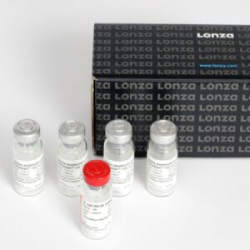 تصویر کیت تشخیص اندوتوکسین Lonza N283-125 حساسیت ۰،۱۲۵ و ۶۴ تستی